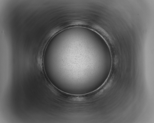 X0000102481321200808151441