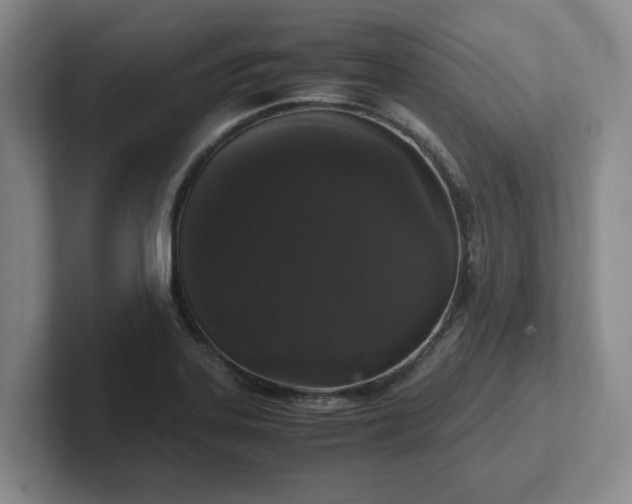 X0000102481323200808151441