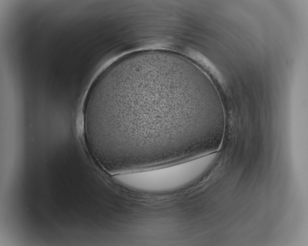 X0000102481324200808151441