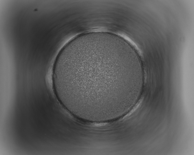 X0000102481325200808151441