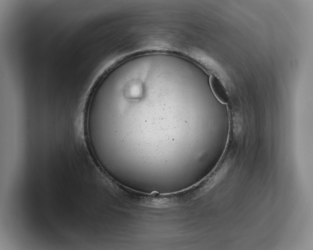 X0000102481326200808151441