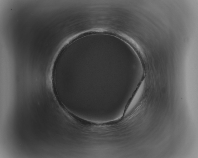 X0000102481327200808151441