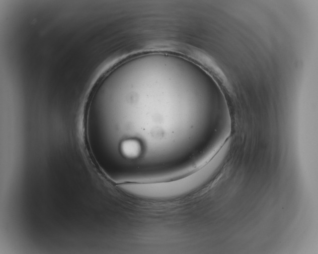 X0000102481328200808151441