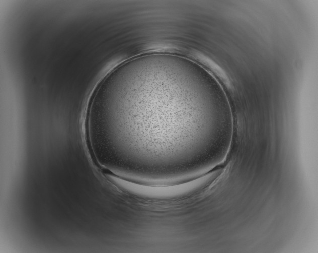 X0000102481330200808151441