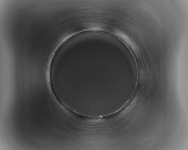 X0000102481331200808151441