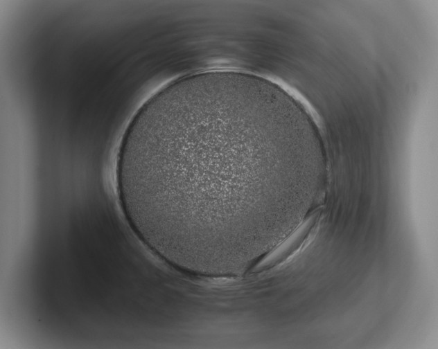 X0000102481333200808151442