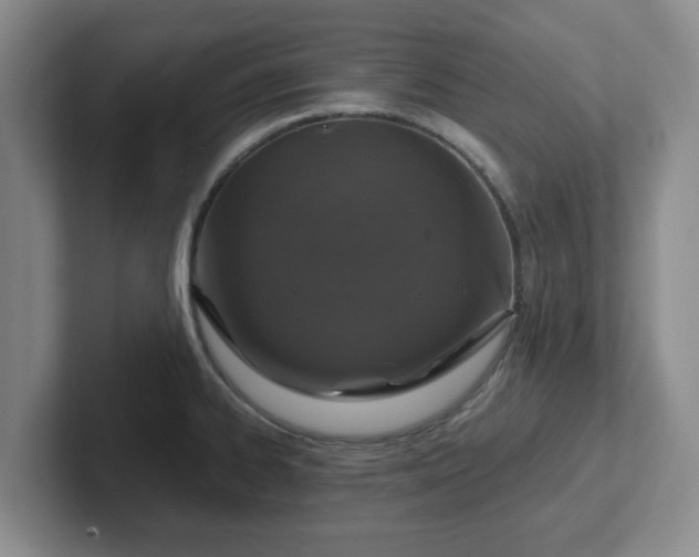 X0000102481334200808151442