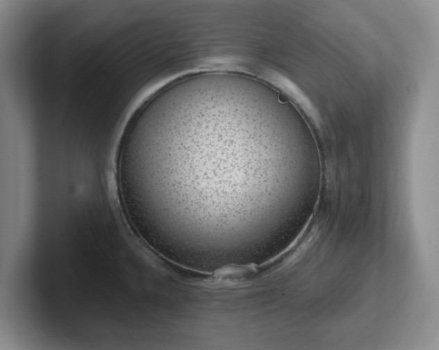 X0000102481336200808151442