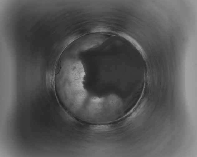 X0000102481337200808151442