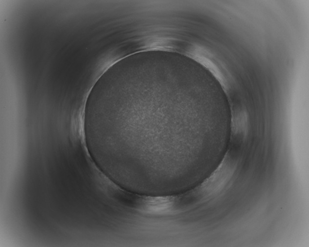 X0000102481338200808151442