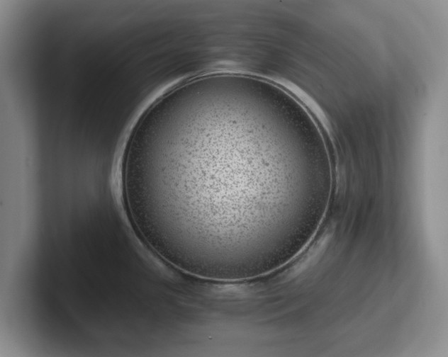 X0000102481341200808151442