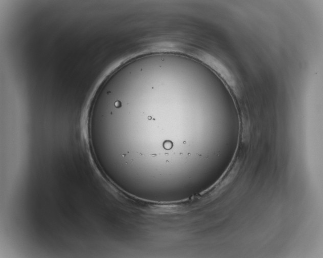 X0000102481342200808151442