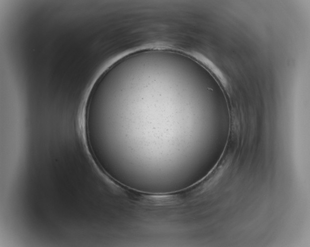 X0000102481343200808151442