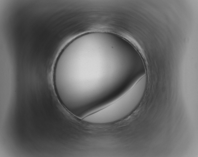 X0000102481344200808151442