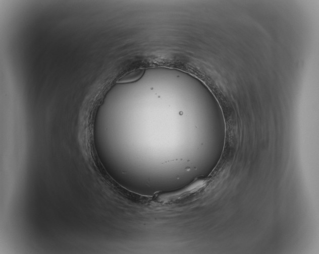 X0000102481345200808151441