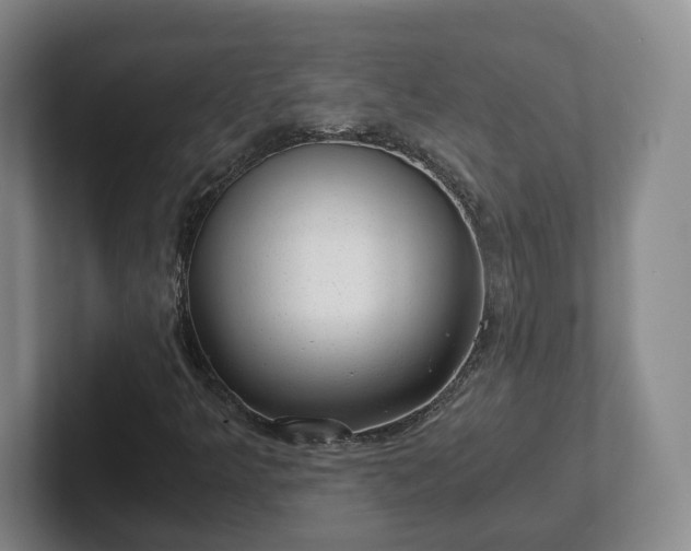 X0000102481349200808151441