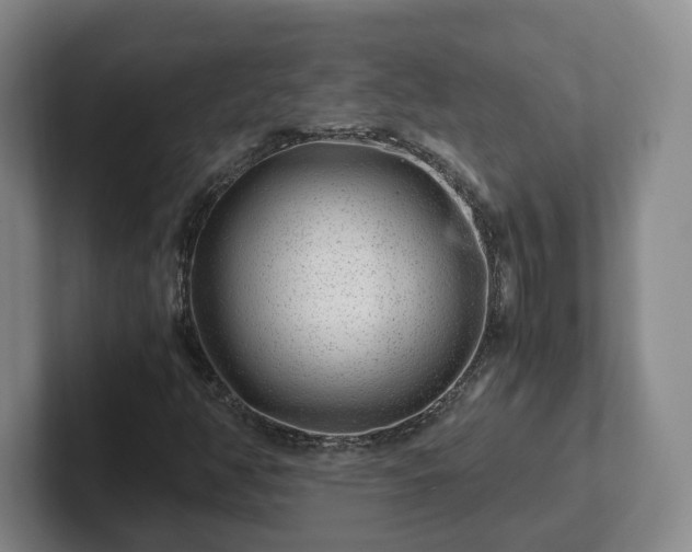 X0000102481350200808151441