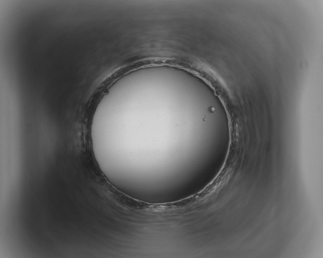 X0000102481352200808151441