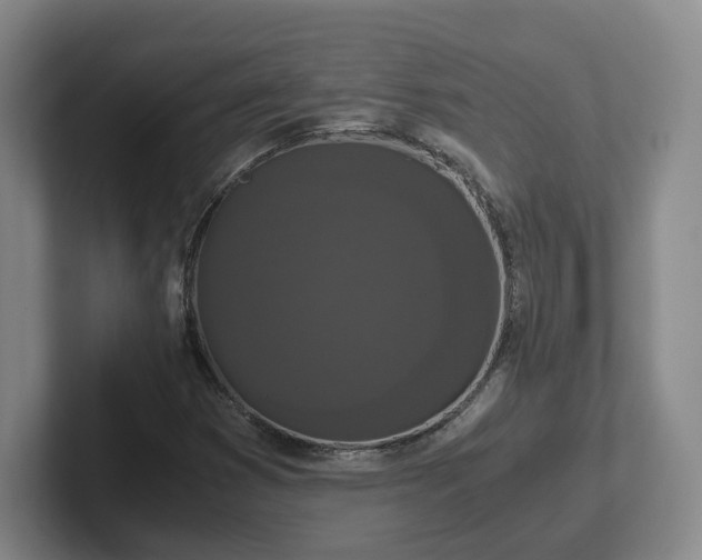 X0000102481353200808151441