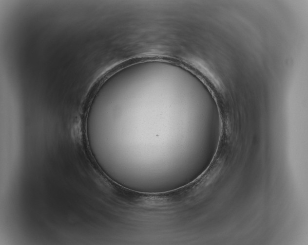 X0000102481356200808151441