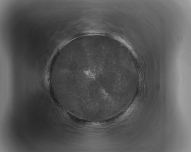 X0000102481357200808151441