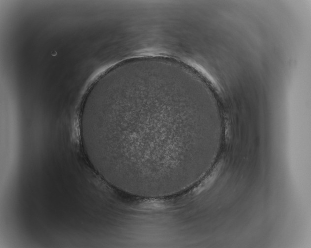 X0000102481358200808151441