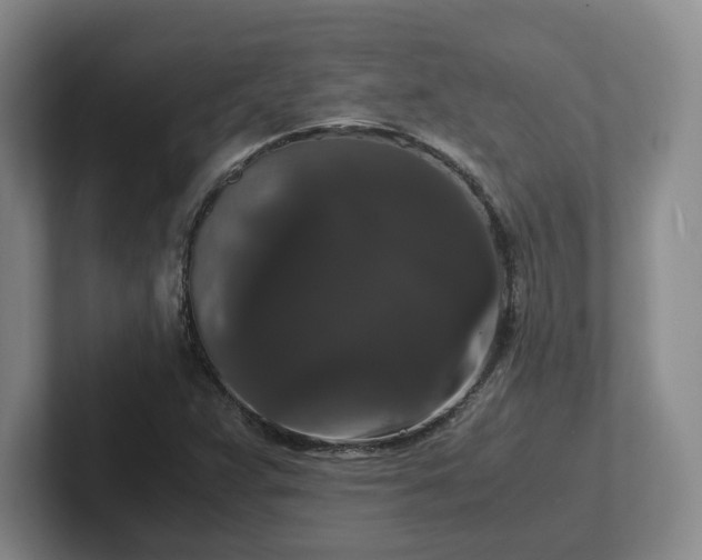 X0000102481359200808151441