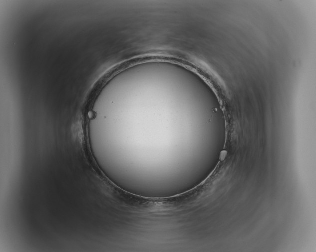 X0000102481360200808151441