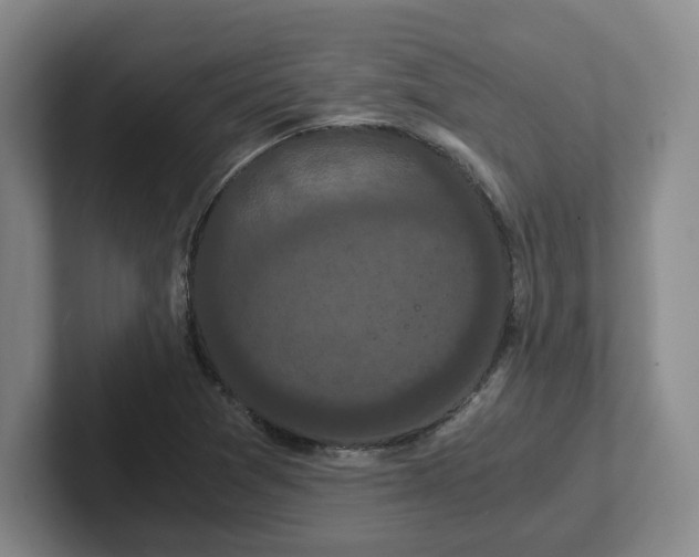 X0000102481361200808151441