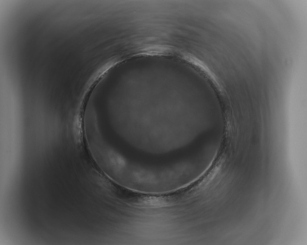 X0000102481362200808151441