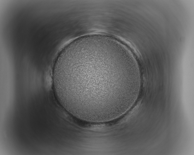 X0000102481363200808151441