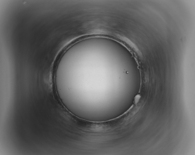 X0000102481364200808151441