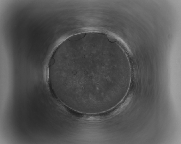 X0000102481365200808151441