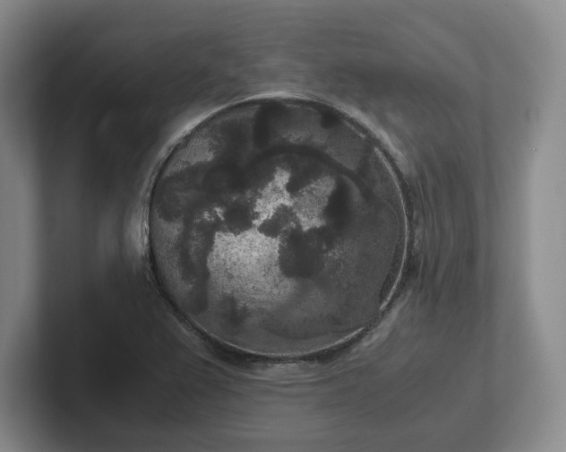 X0000102481367200808151441