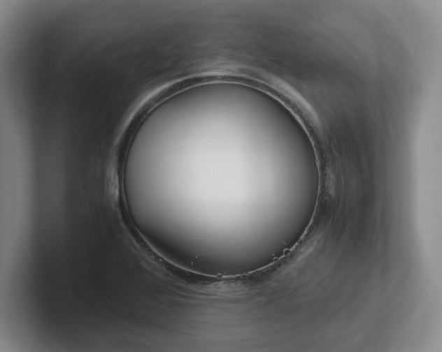 X0000102481368200808151441