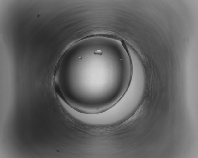 X0000102481369200808151441