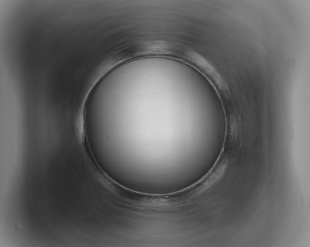 X0000102481370200808151441