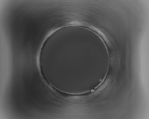 X0000102481373200808151441