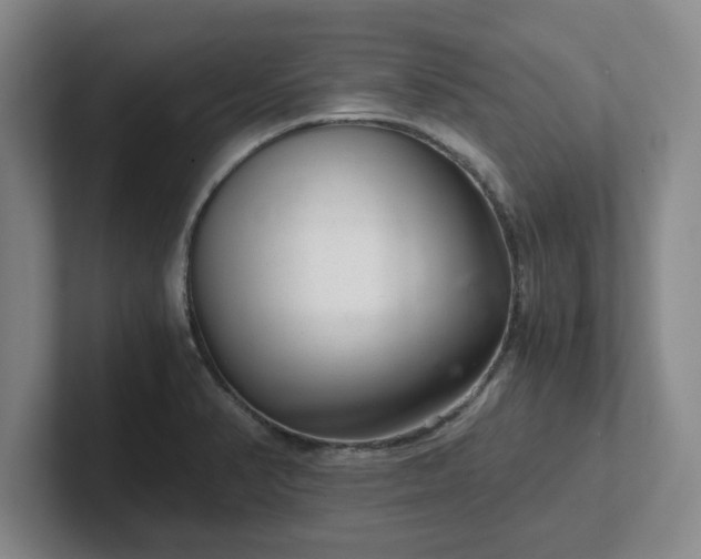 X0000102481374200808151441