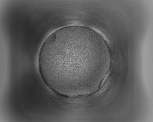 X0000102481375200808151441