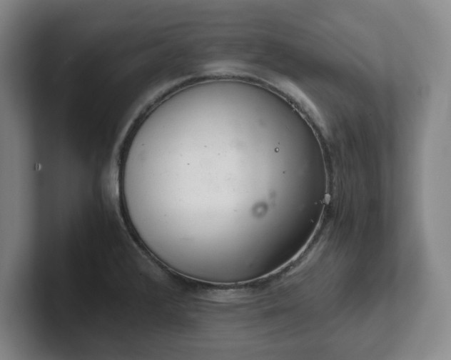 X0000102481376200808151441