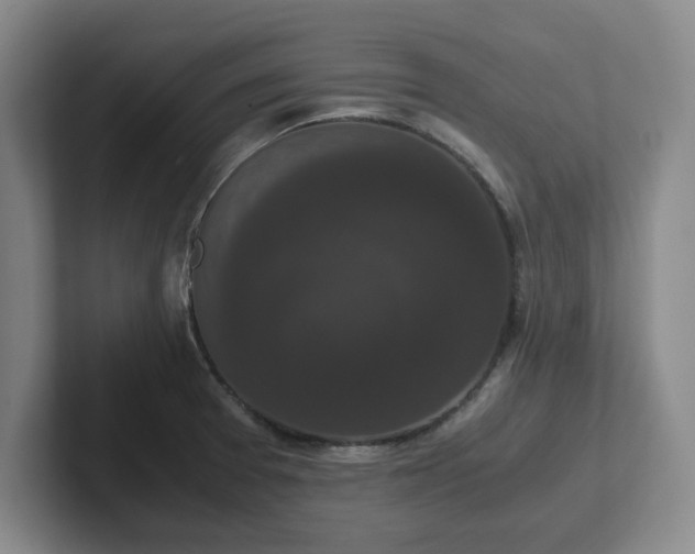 X0000102481377200808151441