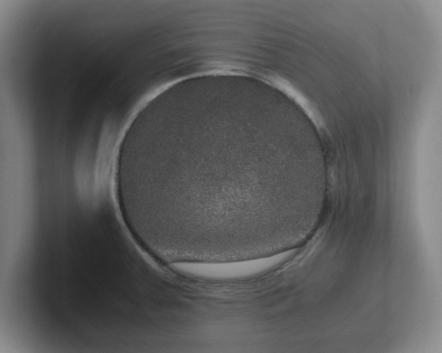 X0000102481379200808151441