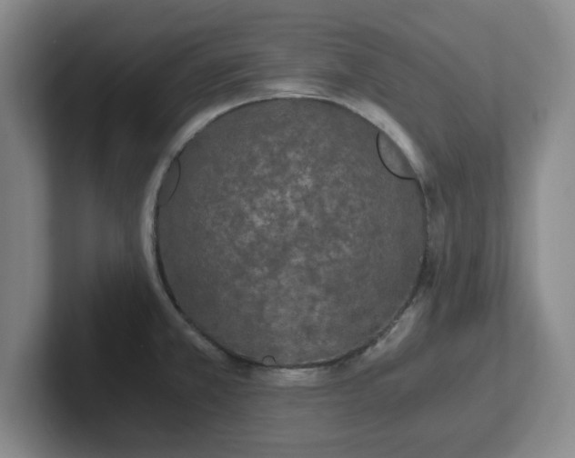 X0000102481381200808151441