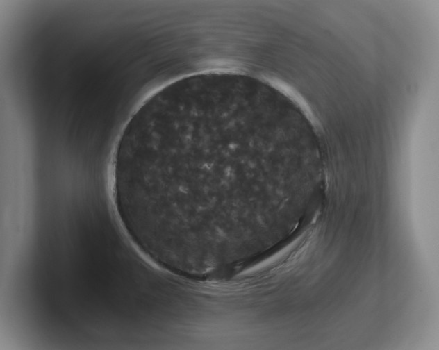 X0000102481383200808151441