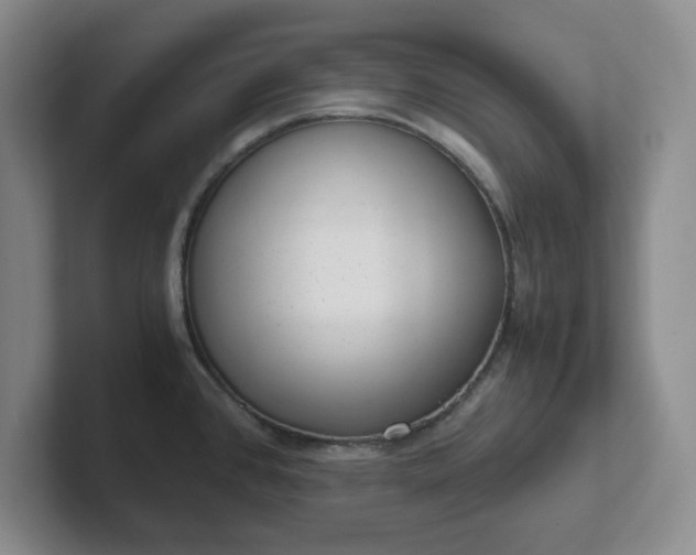 X0000102481384200808151440