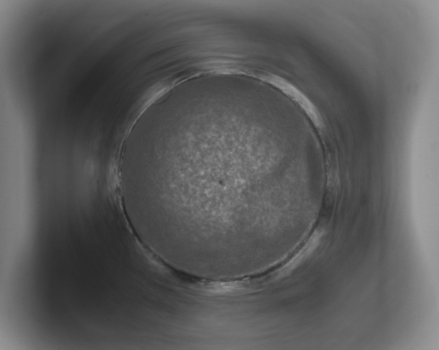 X0000102481385200808151440