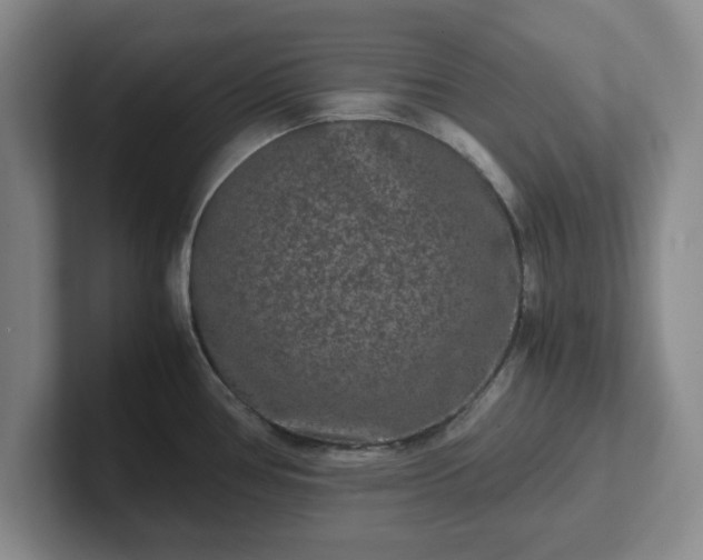 X0000102481386200808151440