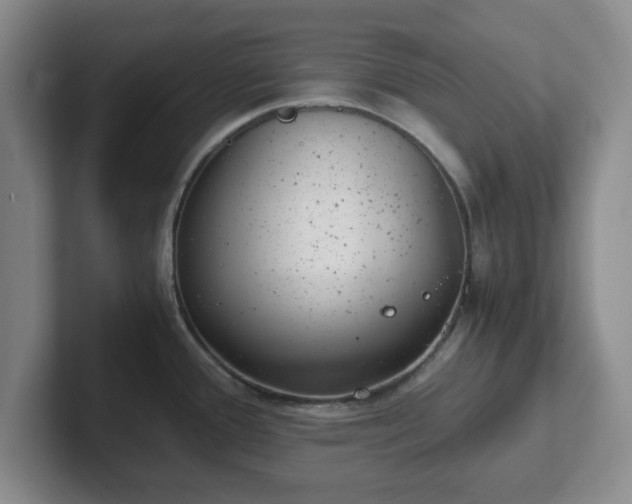 X0000102481388200808151440