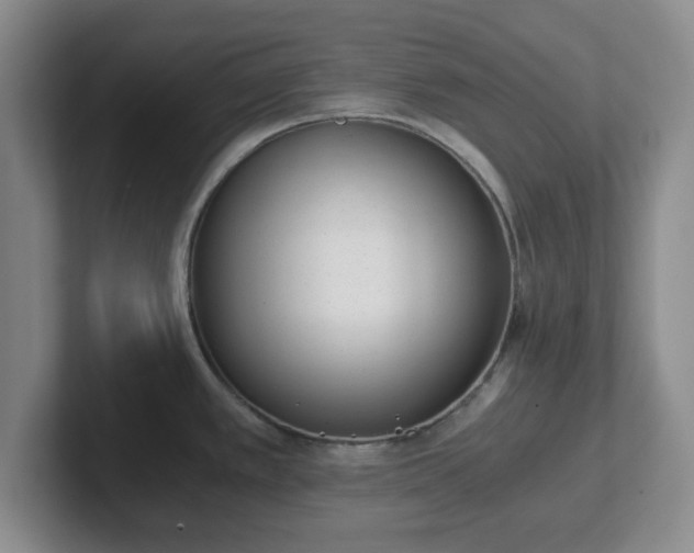 X0000102481389200808151440